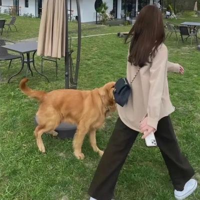 理查德·朱维尔的哀歌 在线观看
