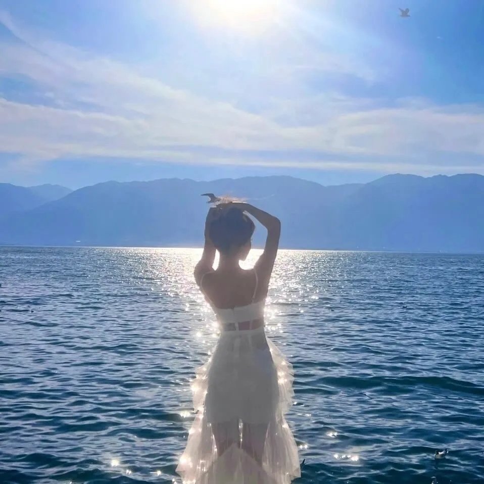 汤姆猫与杰利鼠:海盗寻宝 在线观看